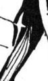 shard6x3.jpg